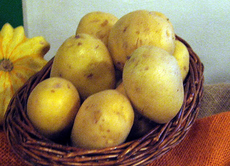 Pommes de terre Agria (farineuses)  (kg)